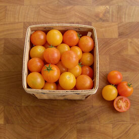 Isis Candy, Tomato Seeds